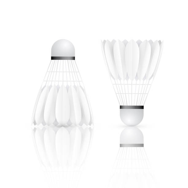 istock Shuttlecock with reflection. Badminton - sport equipment. Vector illustration isolated on white background 1217170606