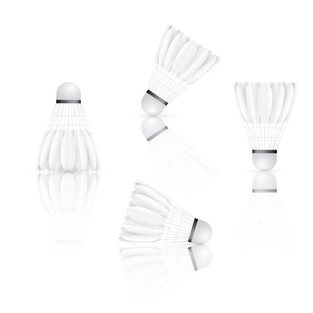 istock Set of Shuttlecock with reflection. Badminton - sport equipment. Vector illustration isolated on white background 1217170647