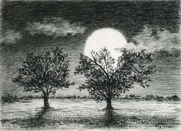 Bекторная иллюстрация Два деревьев в лунном свете