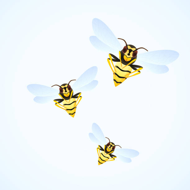 Wasp swarm cartoon illustration isolated on white background. poisonous insect. Yellow wasps. Vector Wasp swarm cartoon illustration isolated on white background. poisonous insect. Yellow wasps. Vector hornet swarm stock illustrations
