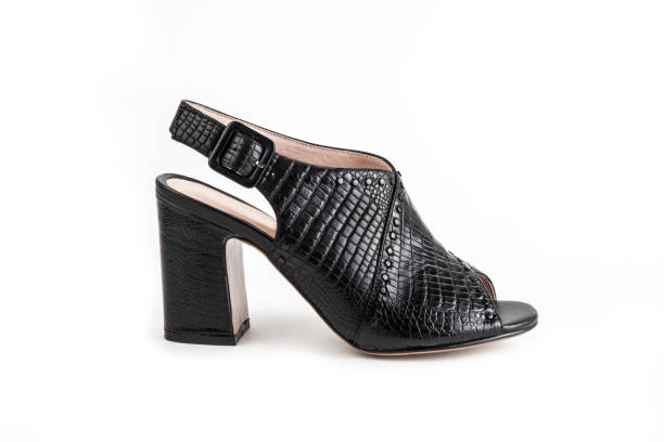 istock women's footwear on a white background isolated. 1217171453