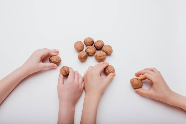 four child hand with many walnuts isolated on white background, close up, top view