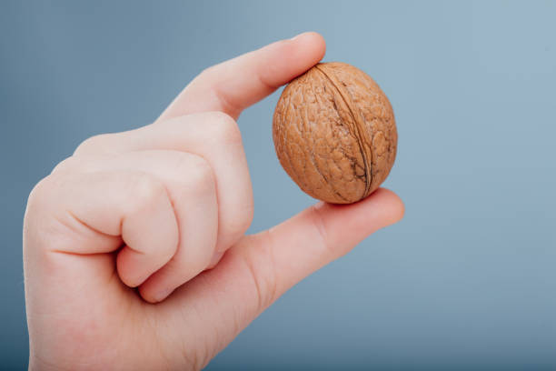istock close up, walnut in hand isolated on blue 1217173391