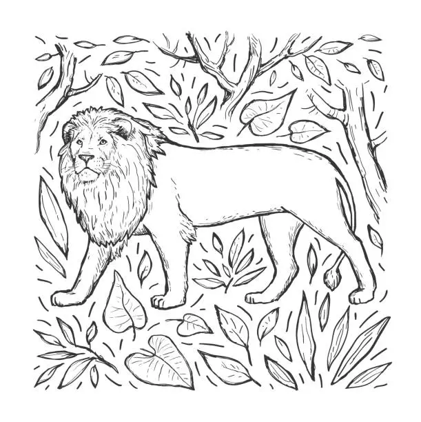 Vector illustration of Lion vector hand drawn sketch. Engraving. Wild animal, trees and leaves