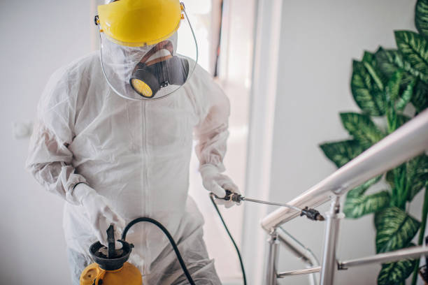 istock Man in protective suit disinfecting steps in building 1217173835