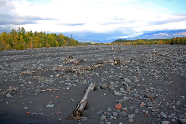 istock Nature on the Kamchatka Peninsula 1217176651
