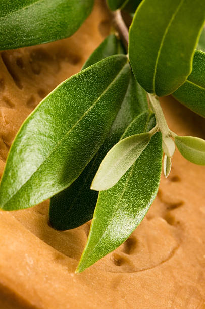 istock Natural Olive Soap With Fresh Branch 121718623