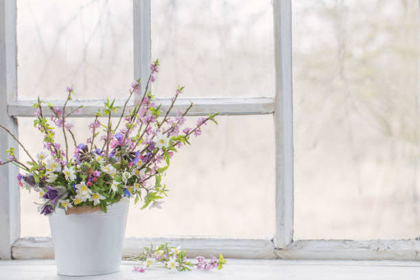 istock spring flowers in white bucket on old white windowsill 1217186411