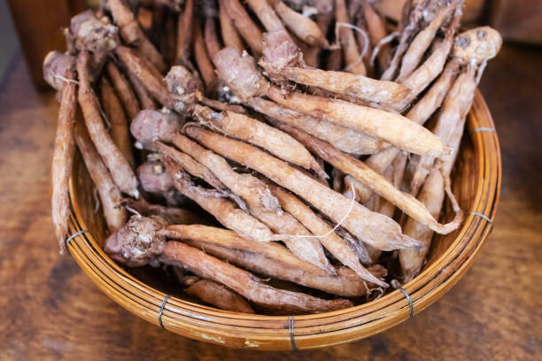 istock Fingerroot or Chinese's Ginger on weave threshing basket. 1217186644