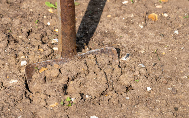 istock An old spade in a dry flowerbed 1217186653