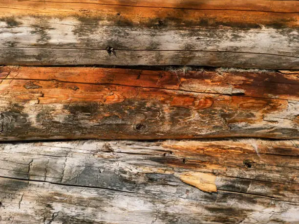 wall of old logs, close-up