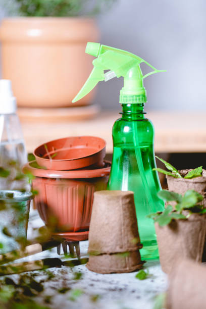 istock Tools for the care of home plants. 1217188675