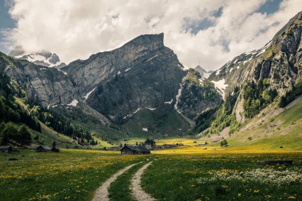istock Road to the farm 1217190576