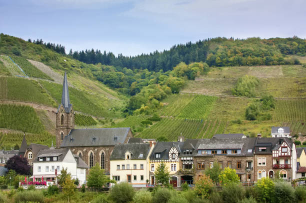 istock Village on Moselle river, Germany 1217191611
