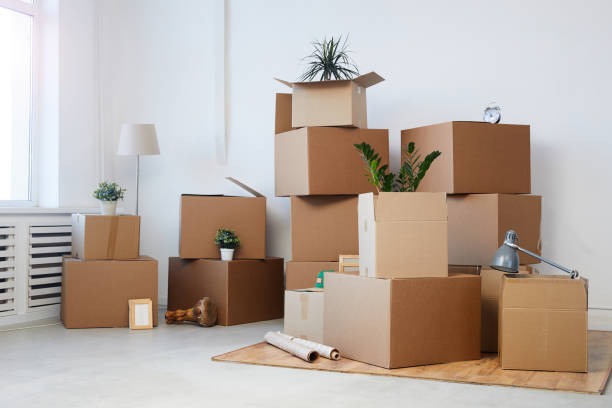 Cardboard Boxes Background Minimal background image of cardboard boxes stacked in empty room with plants and personal belongings inside, moving or relocation concept, copy space unpacking photos stock pictures, royalty-free photos & images