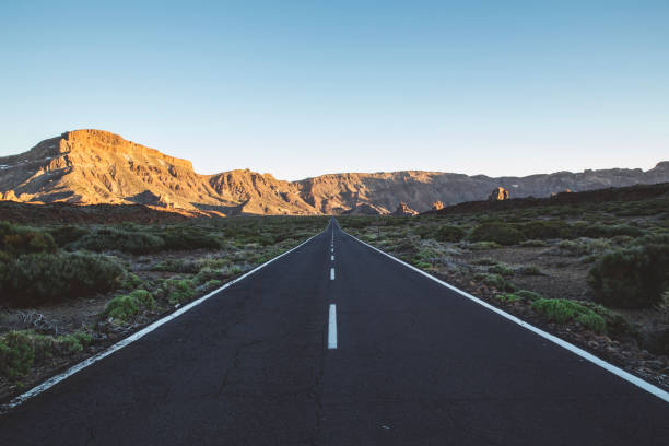 istock Teide National Park in Tenerife. 1217193617