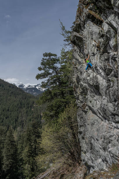 młoda kobieta wspinaczka w squamish z tła lasu i tantalus ridge góry - muscular build rock climbing mountain climbing women zdjęcia i obrazy z banku zdjęć