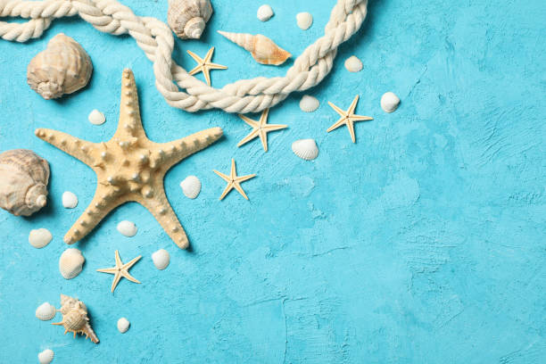 istock Starfish, rope and seashells on blue background, space for text 1217194252