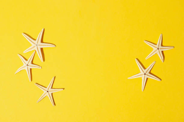istock Starfishes on yellow background, space for text 1217194335