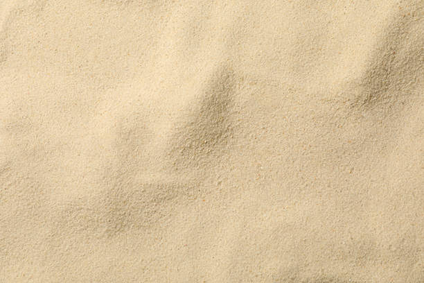 istock Dry sea sand background, close up. Summer. Vacation 1217195601
