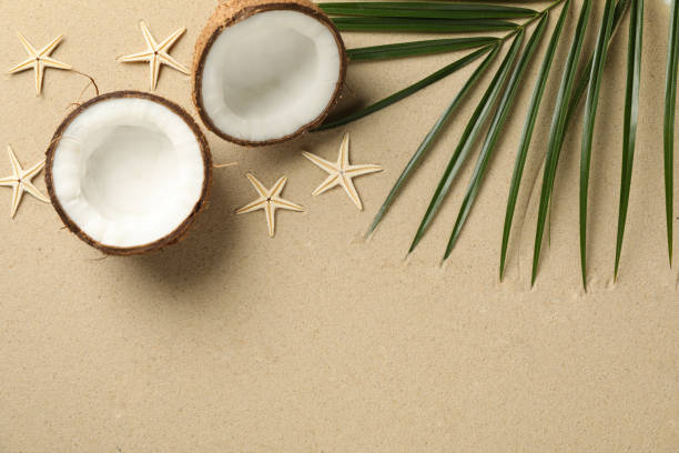 istock Palm branch, coconut and starfishes on sea sand, space for text 1217195743
