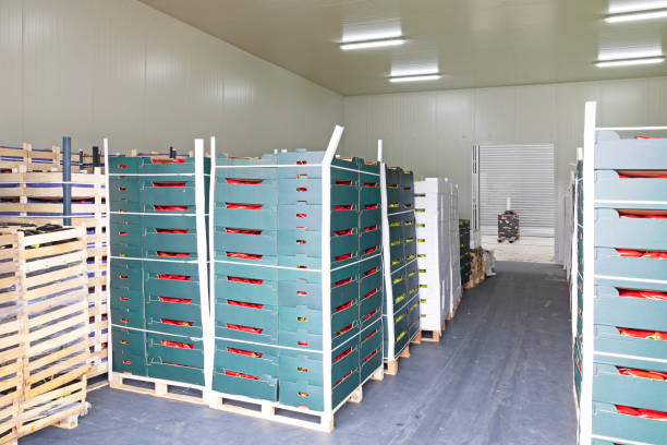 istock Food at Pallets 1217196052