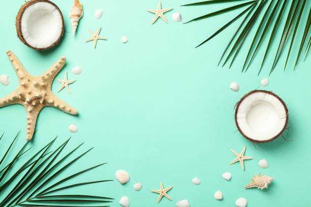 istock Palm branches, starfishes and coconut on mint background, space for text 1217199386