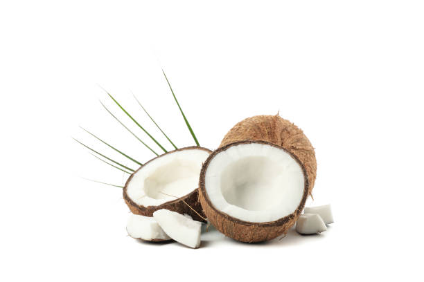 istock Group of coconut isolated on white background. Tropical fruit 1217201651