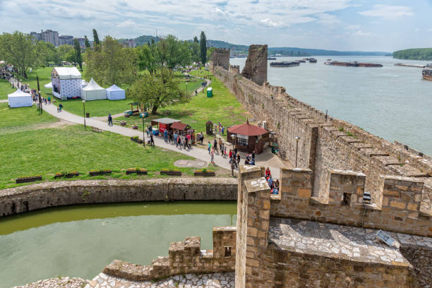 twierdza smederevo to średniowieczne, ufortyfikowane miasto w smederevo w serbii. - ship fort castle stone wall zdjęcia i obrazy z banku zdjęć