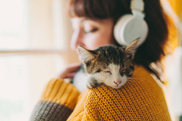 Home sweet home during COVID-19 pandemic Cute cat sleeping on owner’s shoulder pet owner stock pictures, royalty-free photos & images