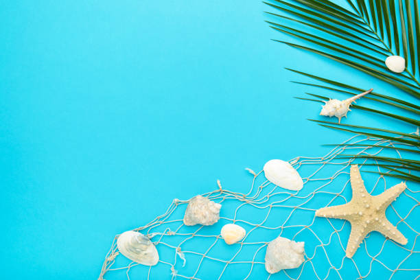 istock Seashells with palm leaves on blue background 1217203368