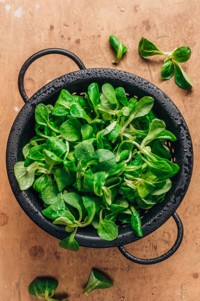 istock Black metal colander with corn salad leaves on rustic background. Top view 1217204798