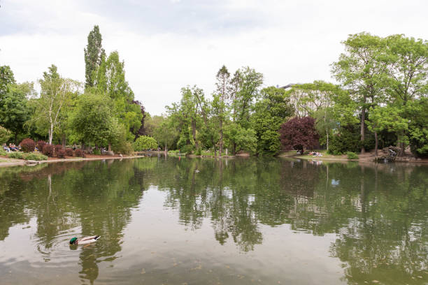 istock Small lake in a park 1217206931
