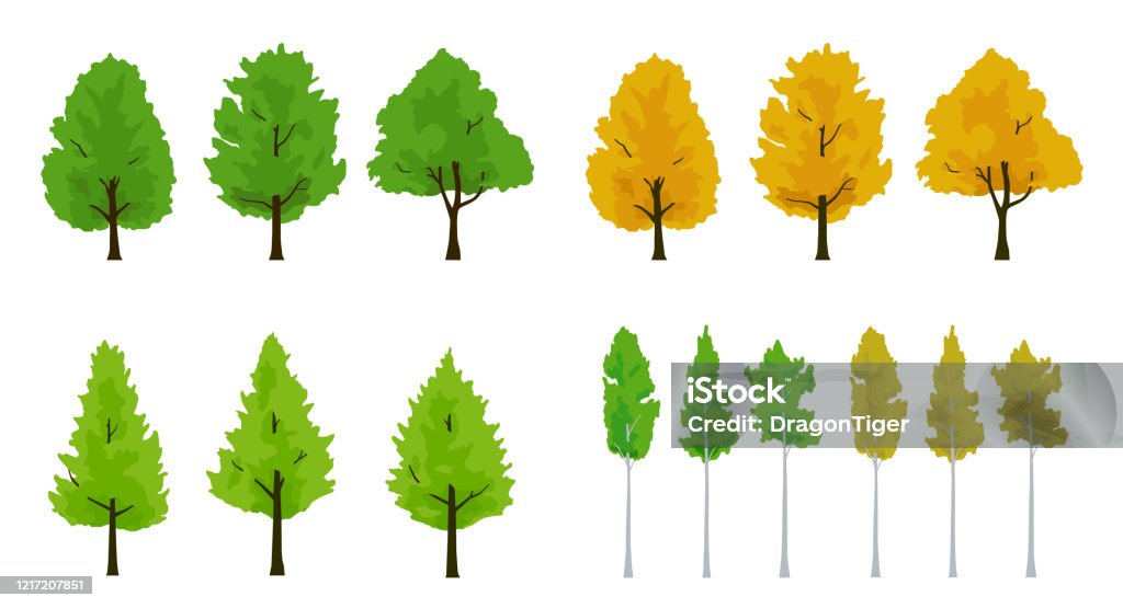 단풍 나무와 은행나무와 아스펜 나무 일러스트 세트 나무에 대한 스톡 벡터 아트 및 기타 이미지 - 나무, 가을, 컷아웃 - Istock