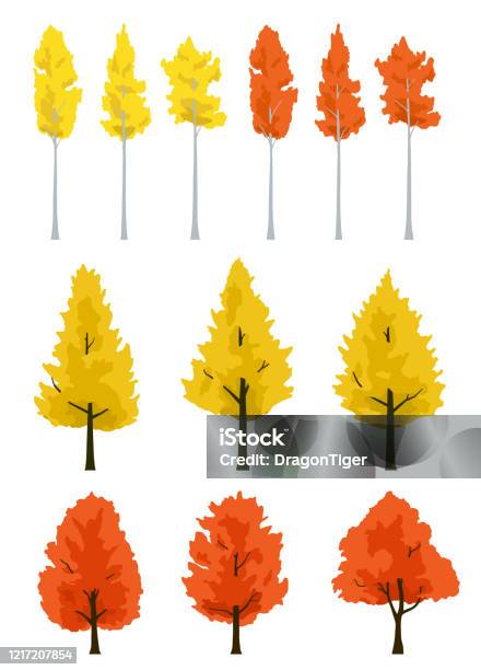 단풍 나무와 은행나무 아스펜 나무 가을 단풍 일러스트 세트 컷아웃에 대한 스톡 벡터 아트 및 기타 이미지 - 컷아웃, 가을, 삼림 -  Istock