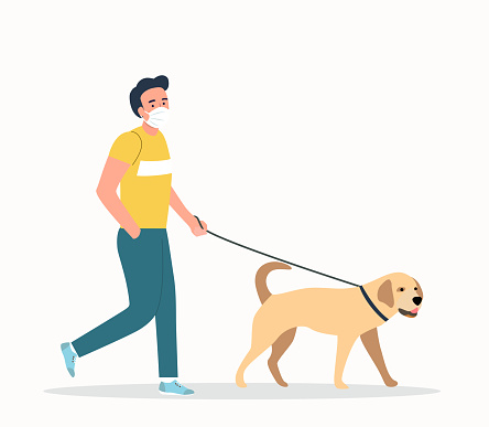 Young  man wearing face masks walking with a dogs isolated. Vector flat style illustration