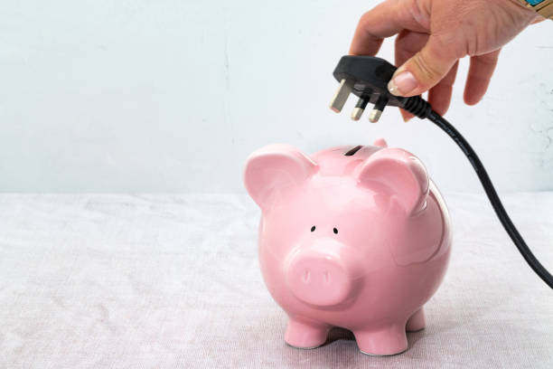 Plugging an electric cable into a piggy bank Plugging an electric cable into a piggy bank - energy cost concept three pin plug stock pictures, royalty-free photos & images