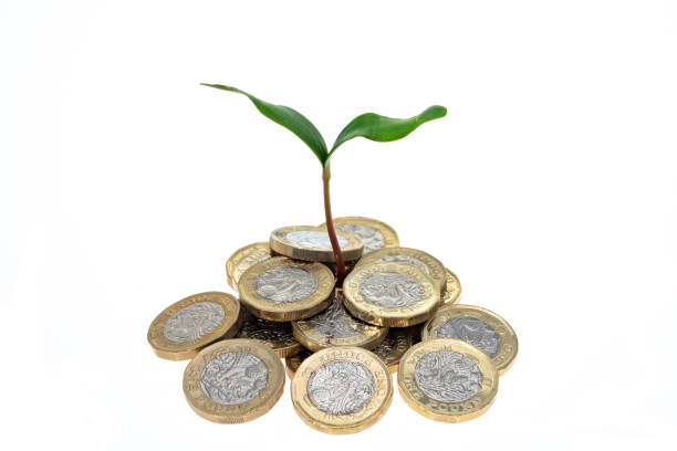 Green shoots of financial recovery - concept image of a young plant growing through a pile of UK one pound coins - white background