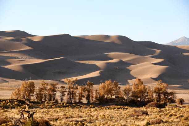 Great Sand Dunes National Park during fall in Colorado Great Sand Dunes National Park during fall in Colorado great sand dunes national park stock pictures, royalty-free photos & images