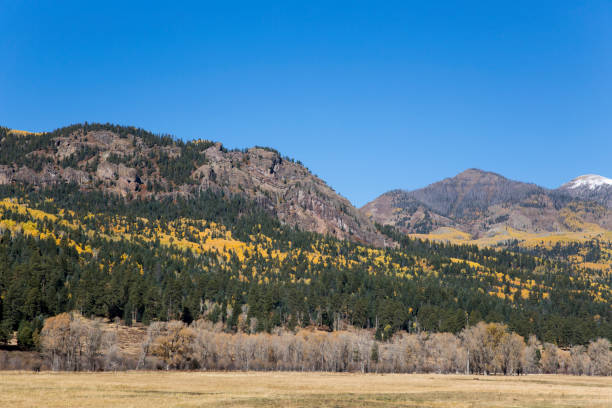 istock Colorado mountain covered with colorful aspen trees in fall 1217212172