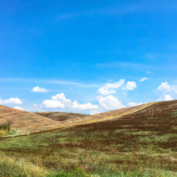 istock Summer landscape with blue sky and hills. 1217212414