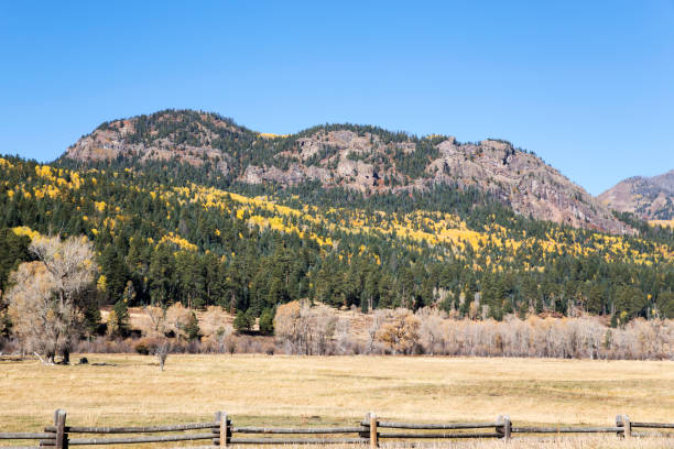 istock Colorado mountain covered with colorful aspen trees in fall 1217212560