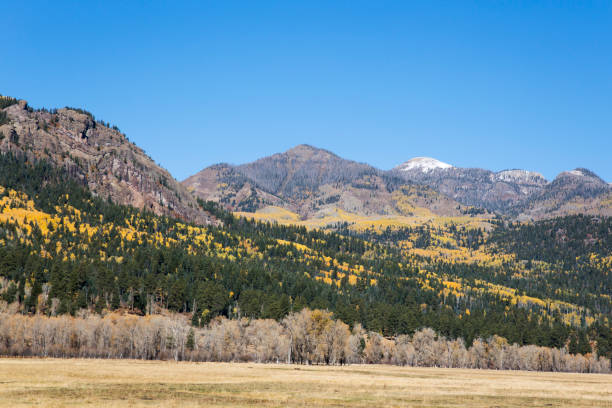 istock Colorado mountain covered with colorful aspen trees in fall 1217214028