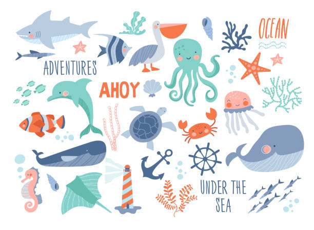 Sea background - cute sea and ocean animals Sea background - cute sea and ocean animals whale, narwhal, ship, lighthouse, anchor, marine plants, wreaths and quotes. marine life stock illustrations