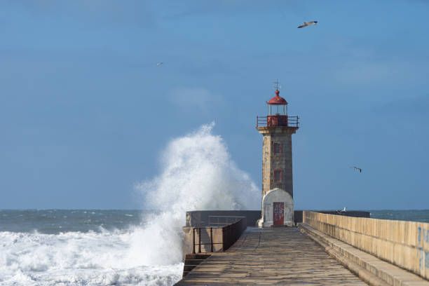 istock Waves hitting the lighthouse on a sunny day 1217218752
