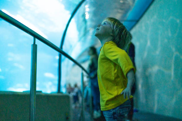 istock A cute boy watches fish in an aquarium. 1217218835