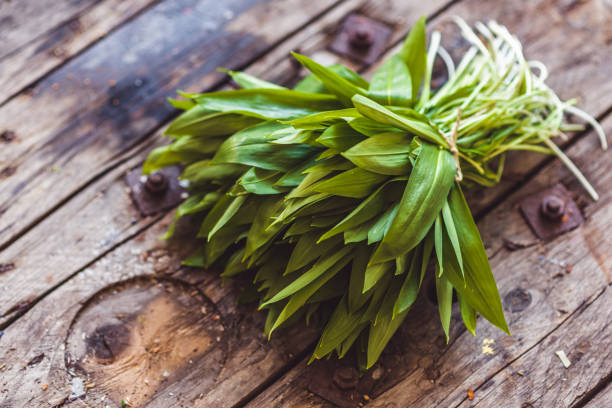 Fresh Wild Garlic Fresh wild garlic or ramson on a rustic wooden table wild garlic leaves stock pictures, royalty-free photos & images