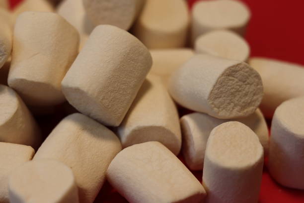 istock Delicious marshmallows ready to roast. 1217219708