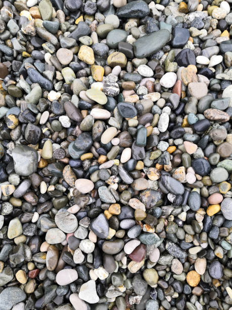 istock Wet stones on the sea coast 1217220232