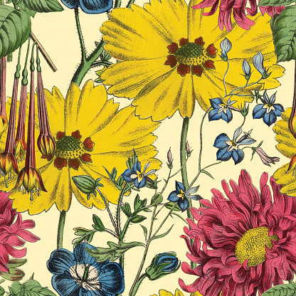 Victorian Botanical, Hand-Colored, Seamless pattern. Realistic blooming isolated flowers Vintage fabric background. Beautiful Cottage Garden and wildflowers. Wallpaper baroque. Drawing engraving. Victorian Illustration. Very Rare, Beautifully Illustrated Antique Engraved and Hand Colored Victorian Botanical Illustration of Plants. Published in 1863. Source: Original edition from my own archives. Copyright has expired on this artwork. Digitally restored.